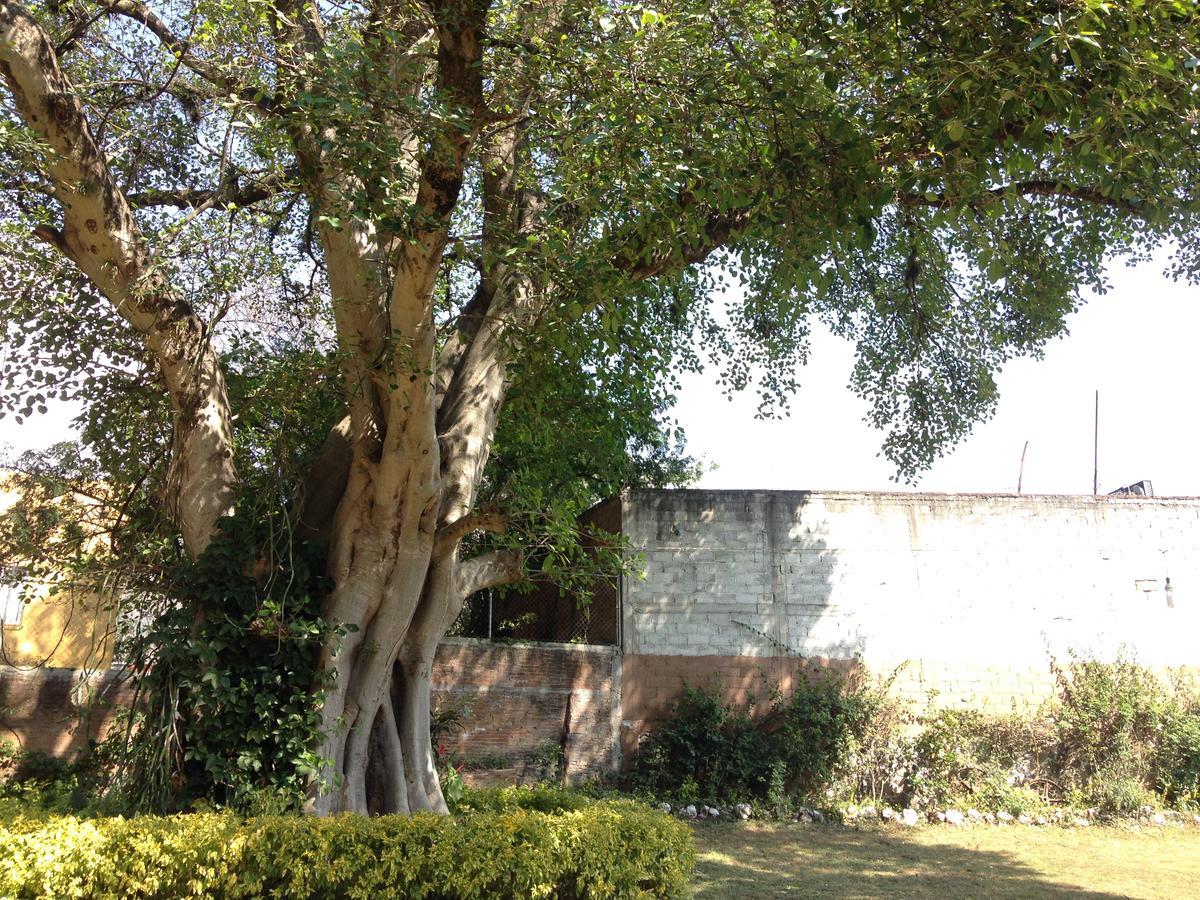 Hospedaje Ornelas Hotel Tepoztlan Bagian luar foto